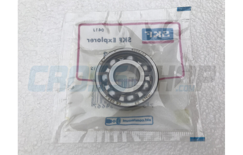 BEARING WATER PUMP 4S 6000 C3