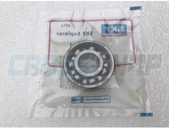 BEARING WATER PUMP 4S 6000 C3