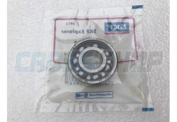 BEARING WATER PUMP 4S 6000 C3