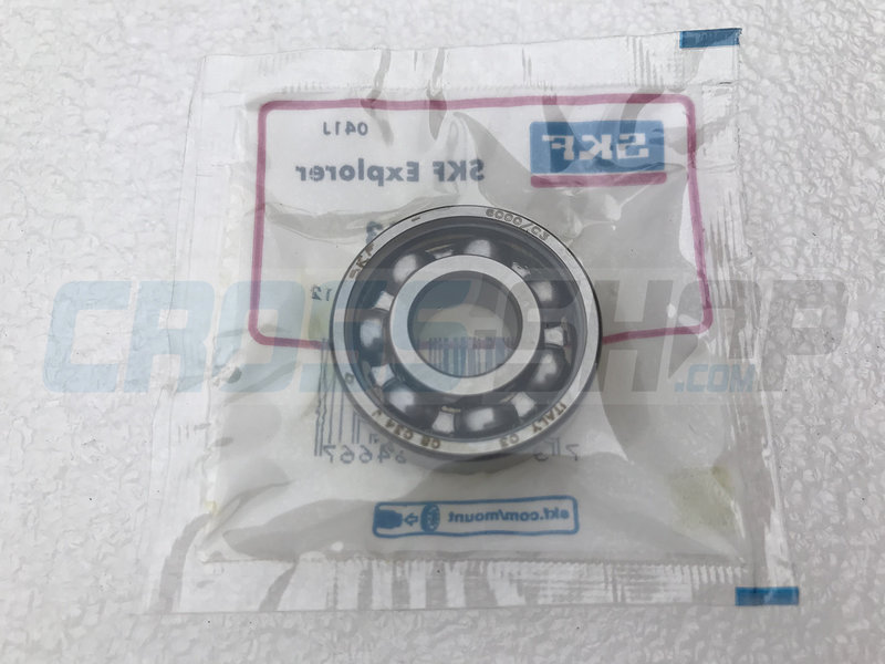 BEARING WATER PUMP 4S 6000 C3