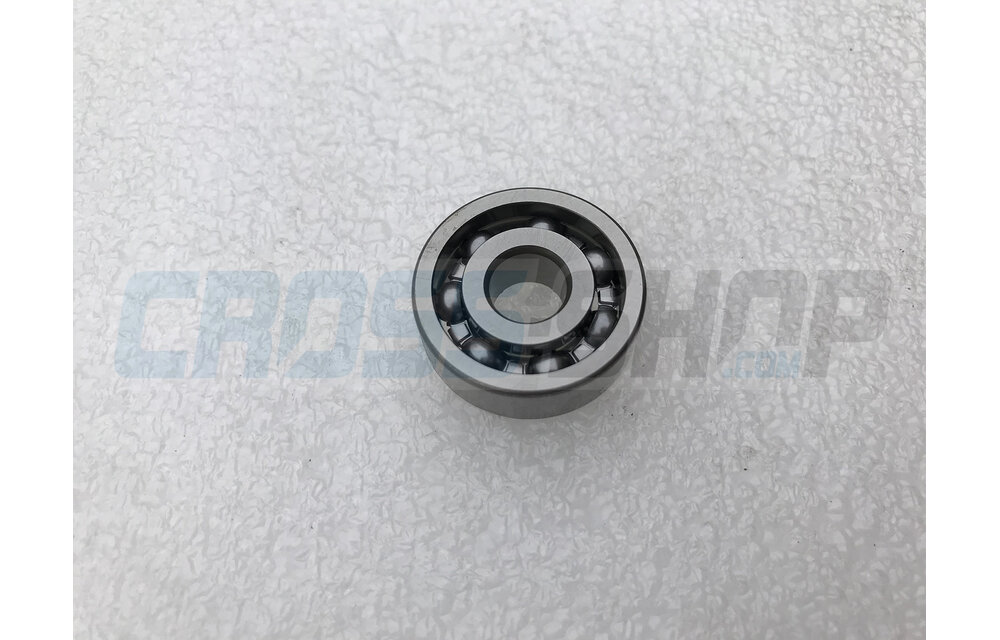 BEARING WATER PUMP 250/09