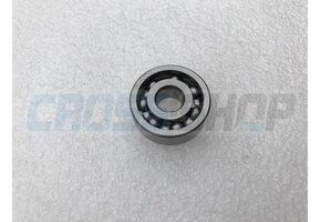 BEARING WATER PUMP 250/09