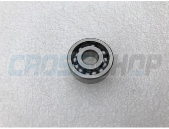 BEARING WATER PUMP 250/09