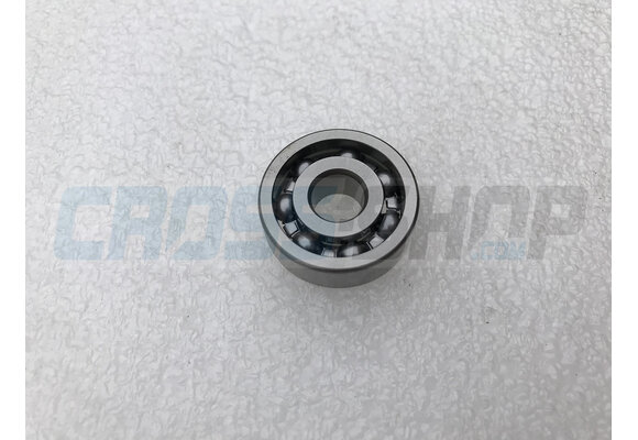 BEARING WATER PUMP 250/09
