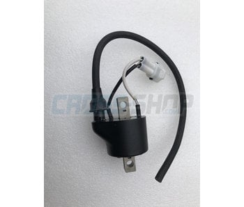 TM Moto COIL INGNITION KOK IG5132