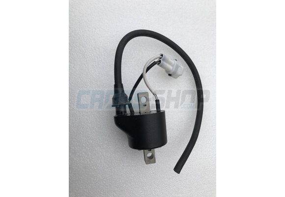 COIL INGNITION KOK IG5132