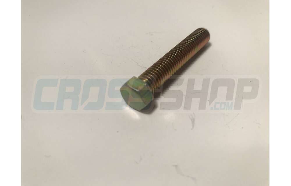 SCREW TE 8X45 SWINGARM