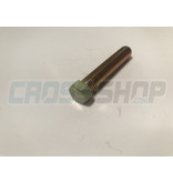 SCREW TE 8X45 SWINGARM