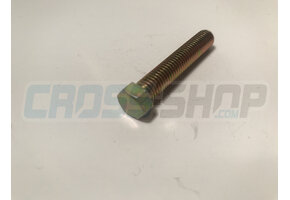 SCREW TE 8X45 SWINGARM
