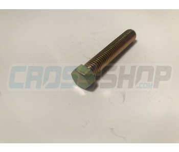 SCREW TE 8X45 SWINGARM