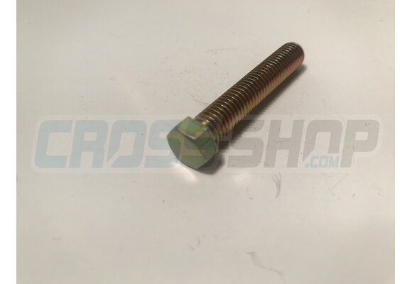 SCREW TE 8X45 SWINGARM