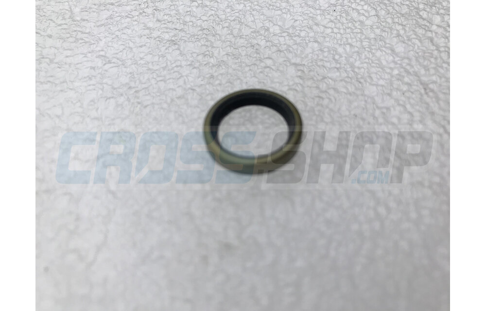 OIL SEAL G 12/13/3 OIL PUMP