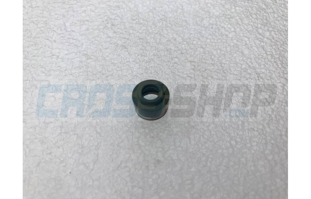 VALVE-STEAM SEALING VS-3002