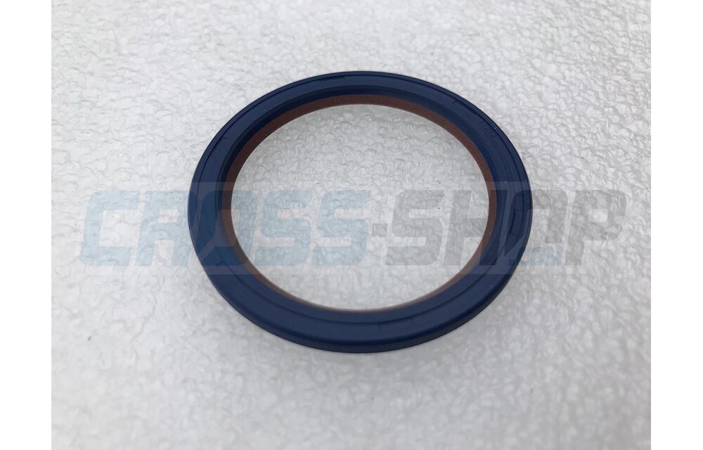 OIL SEAL 30 x 48 x 4