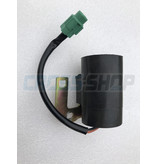 CAPACITOR SHINDENGEN ADP19