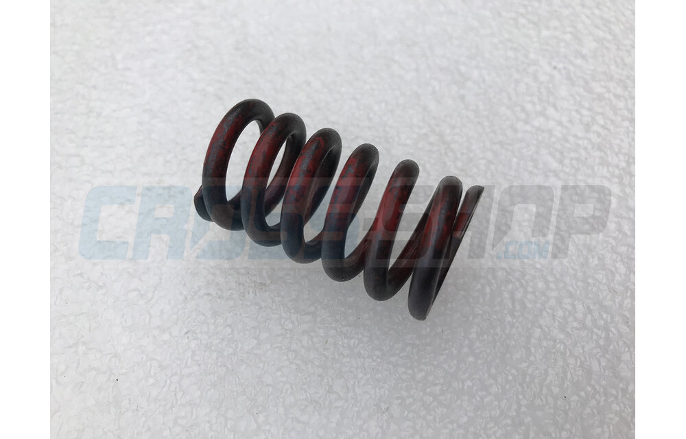SPRING VALVE D22 L394 F35