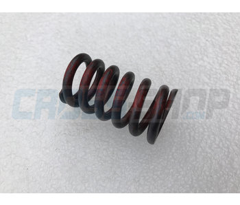 TM Moto SPRING VALVE D22 L394 F35
