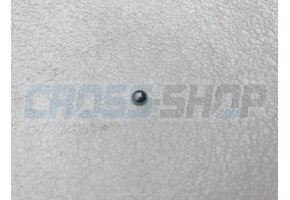 BALL IDR. CLUTCH PISTON 250N