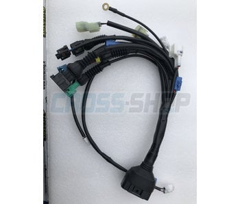 TM Moto WIRING 4S Fi M.16 -> MAIN