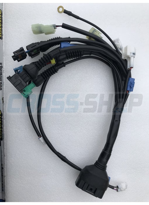 TM Moto WIRING 4S Fi M.16 -> MAIN