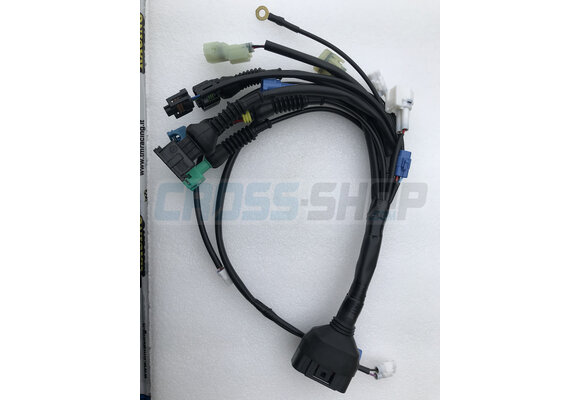 WIRING 4S Fi M.16 -> MAIN