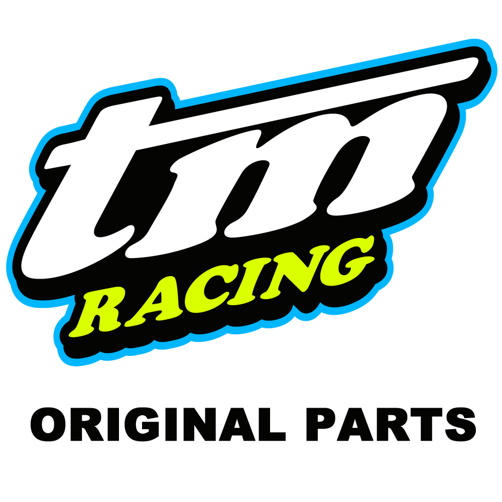 GEAR, OIL PUMP 250Fi 10 T
