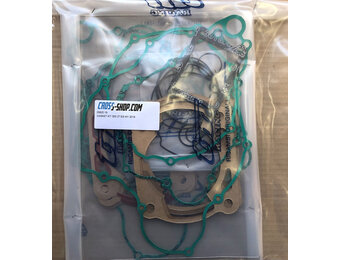 GASKET KIT 300 2T ES MY 2019