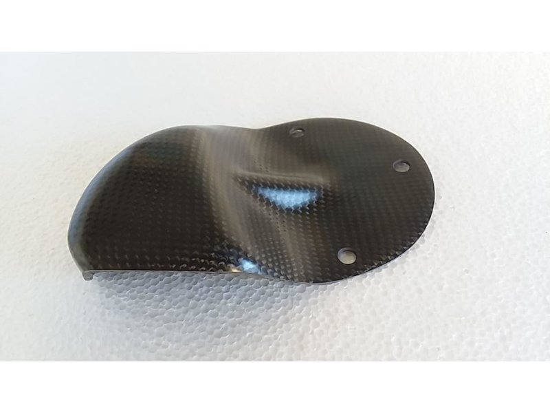 LS Carbon FUEL PUMP PROTECTION 4stroke 2015 ->