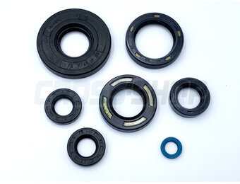 OIL SEAL KIT 80/125 MY90->99