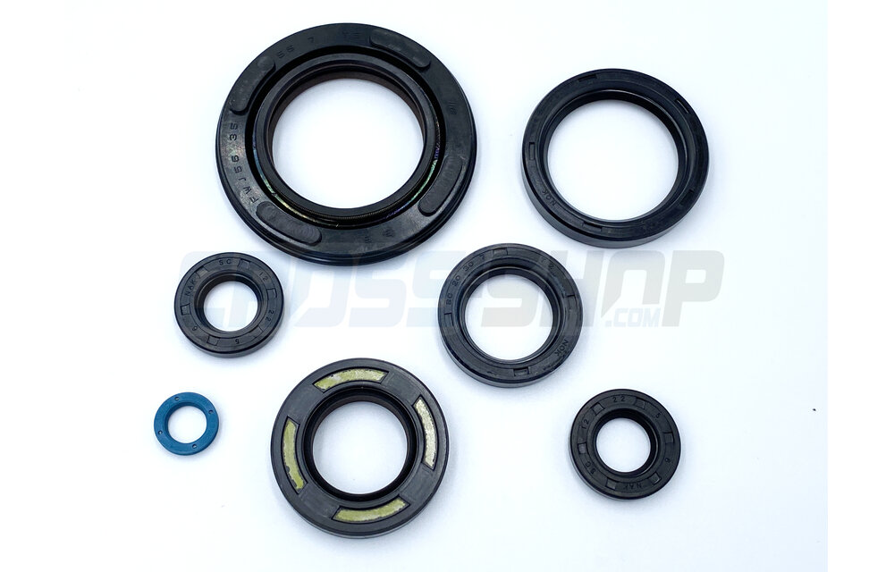 OIL SEAL KIT 250/300cc 96/->