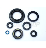 OIL SEAL KIT 250/300cc 96/->