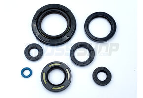 OIL SEAL KIT 250/300cc 96/->