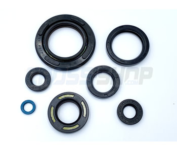 TM Moto OIL SEAL KIT 250/300cc 96/->