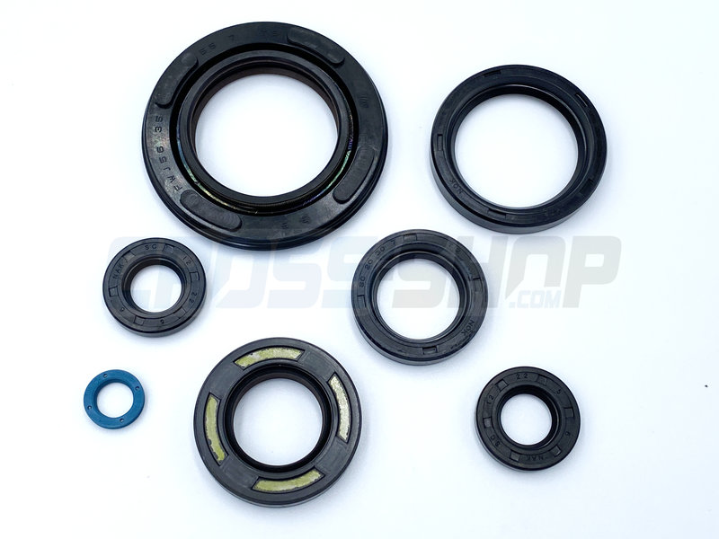OIL SEAL KIT 250/300cc 96/->