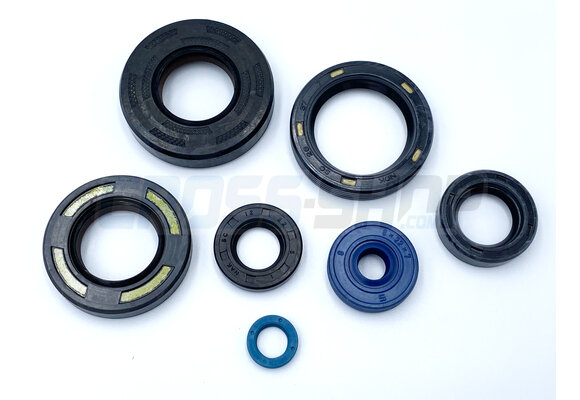 OIL SEAL KIT 125/144cc 06/08