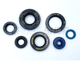 OIL SEAL KIT 125 M.12-> EL.V.