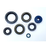 TM Racing OIL SEAL KITS 85/100 MODEL 2018