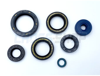 OIL SEAL KITS 85/100 MODEL 2018