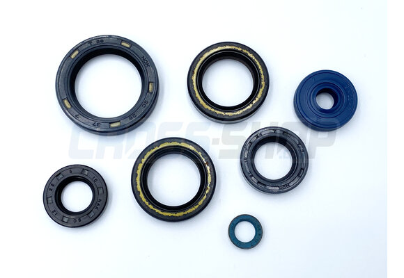 OIL SEAL KITS 85/100 MODEL 2018