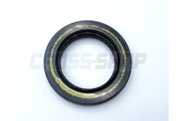 OIL SEAL 25 x 38 x 7