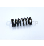 SPRING CLUTCH 250/300 M.94/98