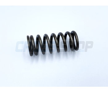 TM Moto SPRING CLUTCH 250/300 M.94/98