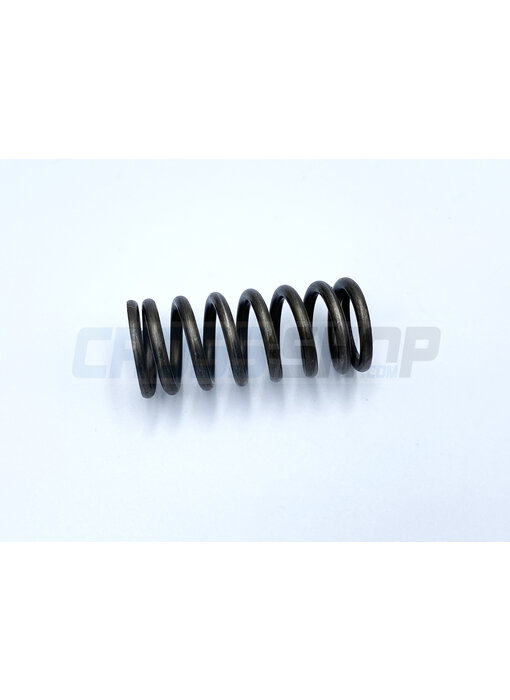 TM Racing SPRING CLUTCH 250/300 M.94/98