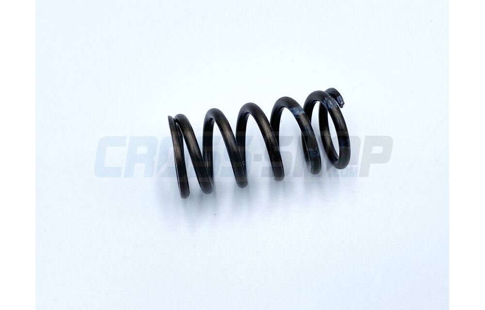 SPRING CLUTCH 2/4T 250/450