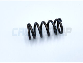 SPRING CLUTCH 2/4T 250/450
