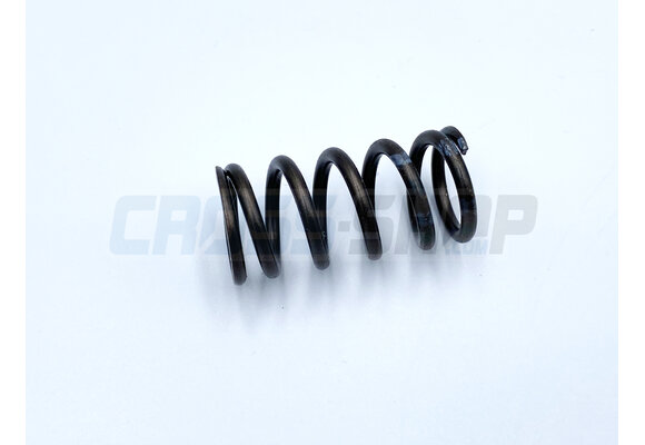 SPRING CLUTCH 2/4T 250/450