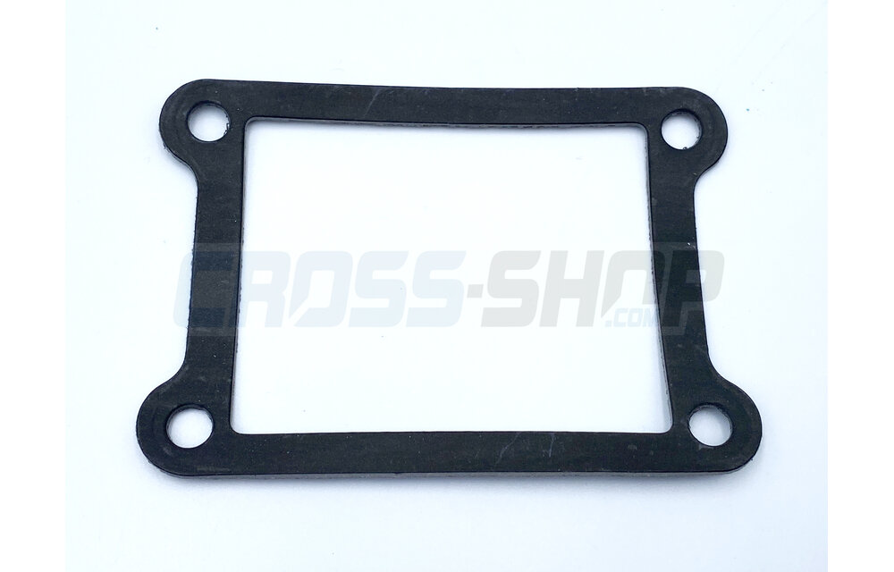 GASKET REED BLOCK 250/300