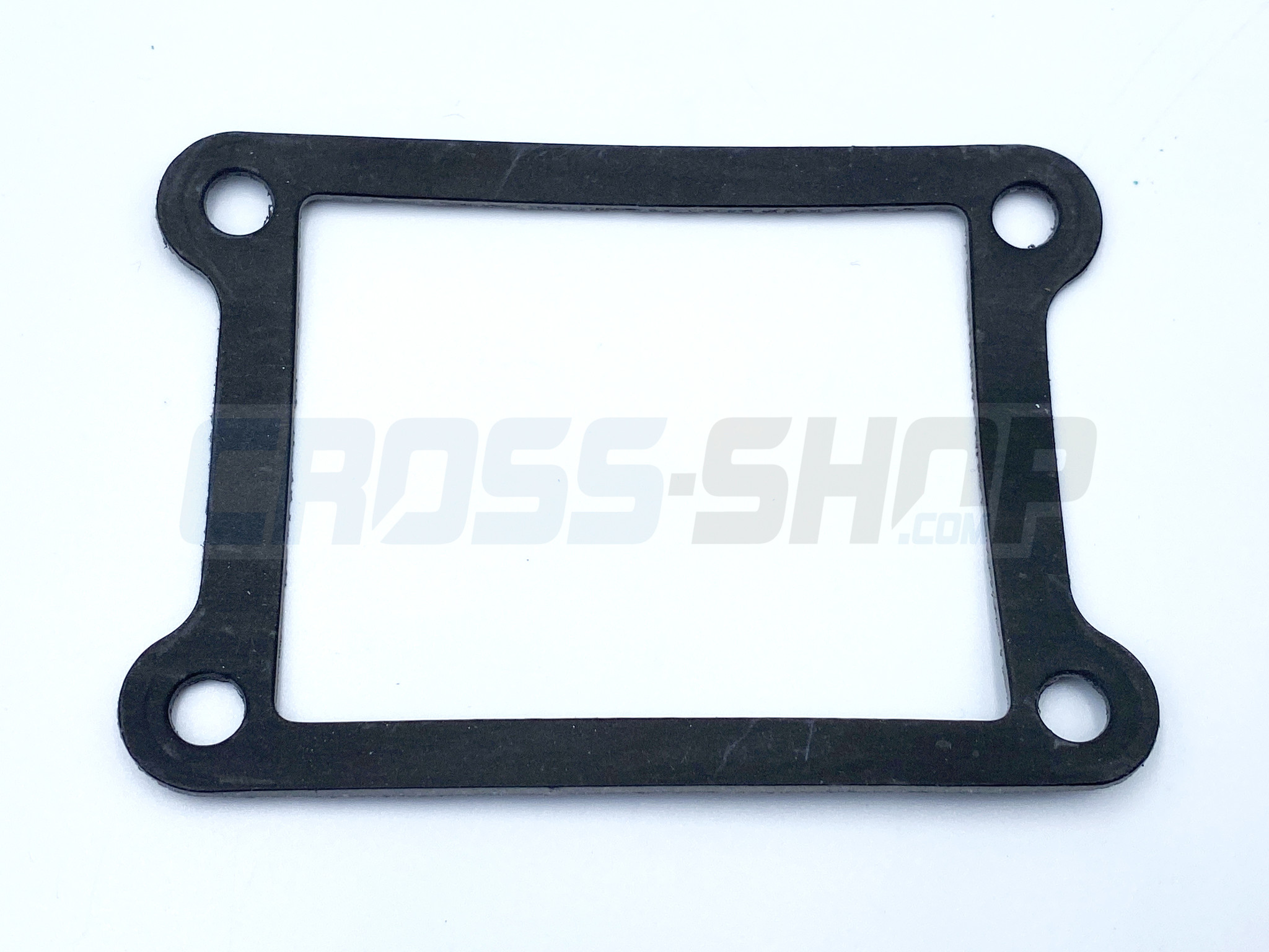 GASKET REED BLOCK 250/300