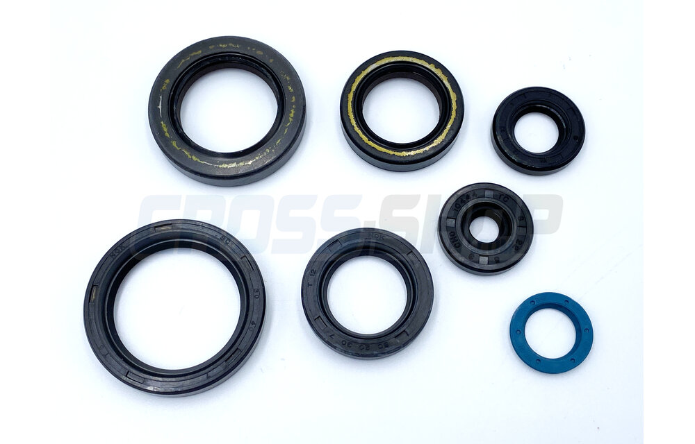 OIL SEALS KIT 250/300 EV 15->