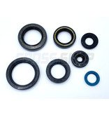 TM Moto OIL SEALS KIT 250/300 EV 15->